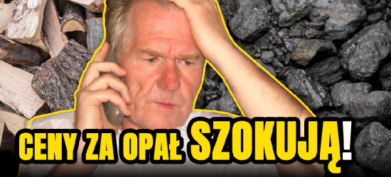 Ceny za opał szaleją! Węgiel drogi, drewna praktycznie brak!
