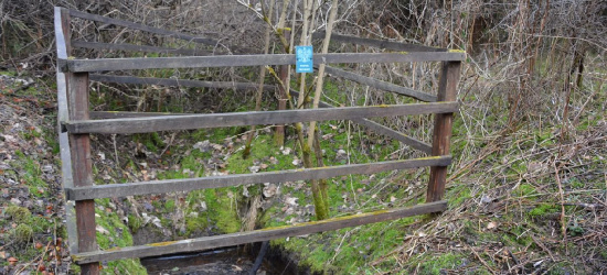 Źródełko solankowe w Tyrawie Solnej odzyskuje dawny blask (FOTO)