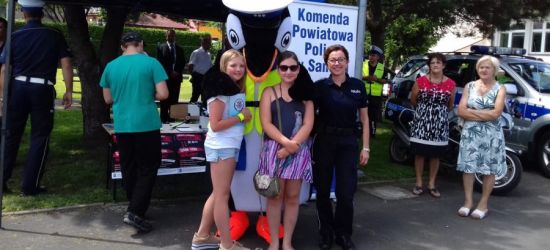 Symulator dachowania i pokazy edukacyjne (FOTO)