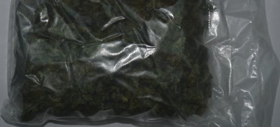 PODKARPACIE: Znaczne ilości środków odurzających i psychotropowych w obrocie