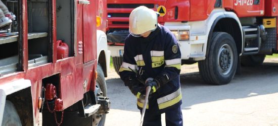 KRONIKA STRAŻACKA: Potrącenie pieszej i pożar dzikiego wysypiska