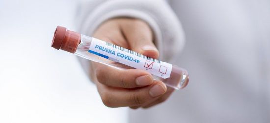 Popołudniowy raport. 1 zakażenie na Podkarpaciu