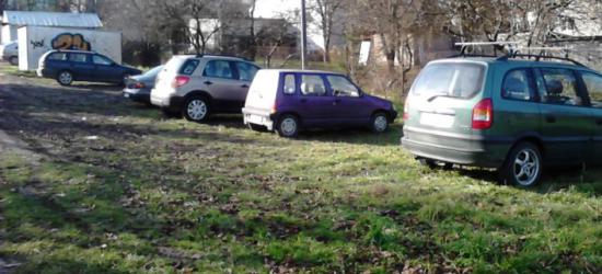 PARKOWANIE PO SANOCKU: Dzikie parkingi rosną jak grzyby po deszczu (ZDJĘCIA)