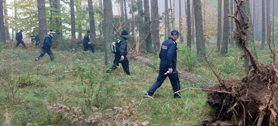 BIESZCZADY: Zgubił się podczas grzybobrania. Noc spędził w lesie
