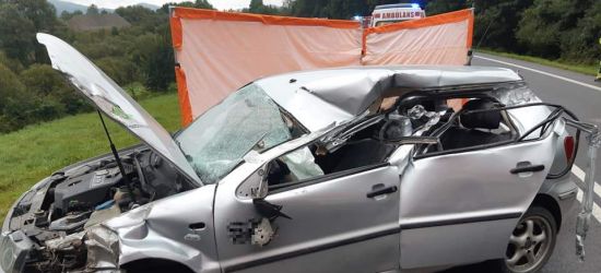 Tragedia na drodze. Nie żyje 17-letnia dziewczyna (ZDJĘCIA)