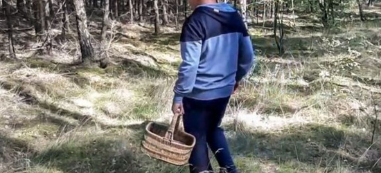 Zadbajmy o swoje bezpieczeństwo wybierając się na grzyby!