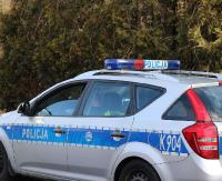 KRONIKA POLICYJNA: Ukradł rasowego kota, groźby w rodzinie i zniszczony samochód
