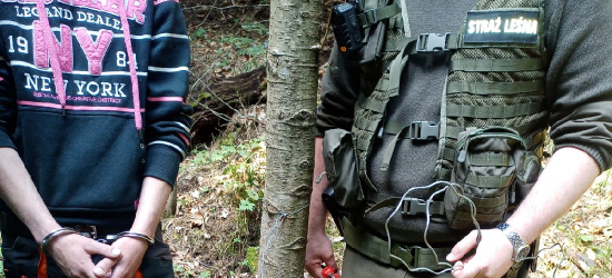 Zakładał wnyki na zwierzynę. Kłusownik zatrzymany