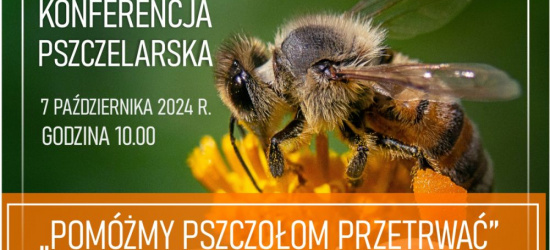 Jak pomóc przetrwać pszczołom? Odpowiedź w najbliższy poniedziałek