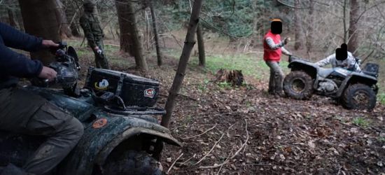 Więcej patroli w lasach. Potrącenie strażnika podczas próby zatrzymania