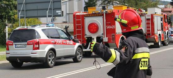 KRONIKA STRAŻACKA: Inwazja niebezpiecznych owadów i uszkodzona instalacja gazowa