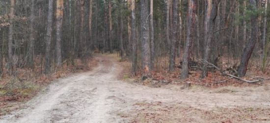 PODKARPACIE. Tragiczny piątkowy wieczór. Nie żyje pieszy i kierowca quada (FOTO)