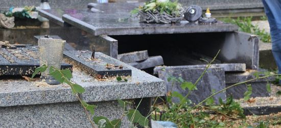 Powalone drzewo na cmentarzu. „Mogło być gorzej” (FOTO)