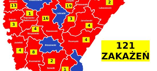 8 nowych zakażeń na Podkarpaciu. AKTUALNA MAPA
