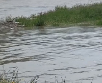 Gwałtowne wzrosty poziomu wód. Komunikat hydrologiczno-meteorologiczny