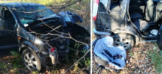 Ford uderzył w słup i drzewo. 3-letnie dziecko z poważnym urazem głowy (NOWE INFORMACJE)