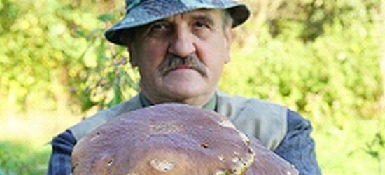 Urodziwe borowiki czekają na zbieraczy!