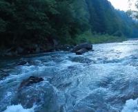 BIESZCZADY: Na ochłodę… szumiąca górska Wetlinka (FILM)