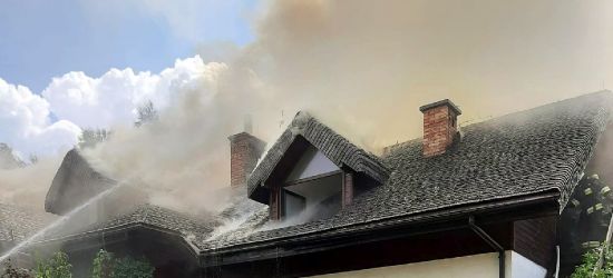 Pożar w Bieszczadach. VIDEO z akcji gaśniczej strażaków