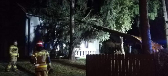 Potężne wichury. Uszkodzone dachy, połamane drzewa. Ponad 200 wyjazdów strażaków (ZDJĘCIA)