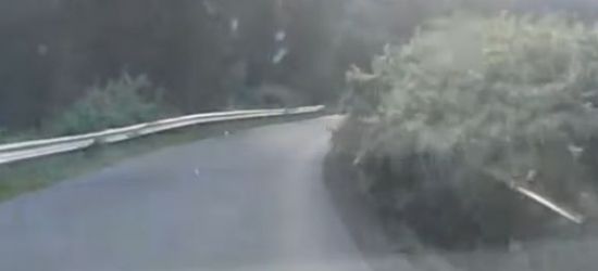 INTERWENCJA: Trudna trasa, a do tego zarośla zasłaniające drogę (ZOBACZ FILM)