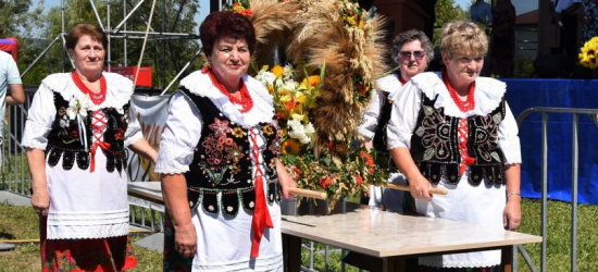 Święto plonów w Gminie Zarszyn! (FOTORELACJA)