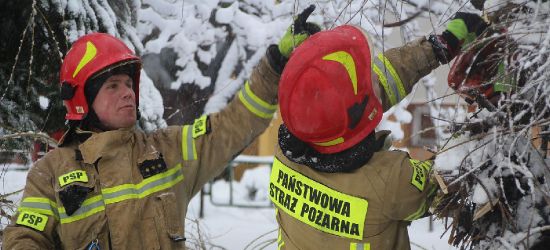 Akcja sanockich strażaków. Samochód przygnieciony przez drzewo (VIDEO, ZDJĘCIA)