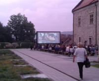 Klimatycznie i z pomysłem, choć leżaczkiem nikt by nie pogardził. Kino plenerowe znów przyciągnęło sanoczan (ZDJĘCIA)