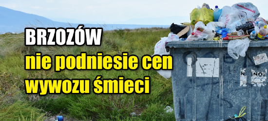Miasta szykują się na podnoszenie cen śmieci. W Brzozowie podwyżek nie będzie