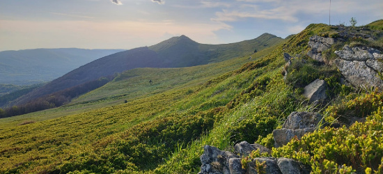 Bieszczady ,,odpoczywają” po majówce. Połonina skąpana w zachodzącym słońcu (ZDJĘCIA)