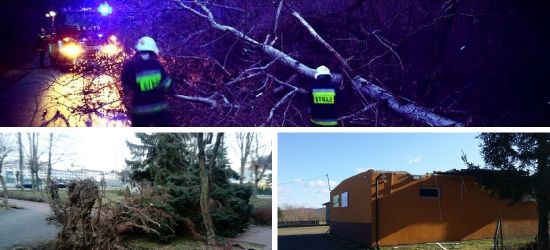 AKTUALIZACJA: Pracowity weekend strażaków. Blisko 30 interwencji po wichurach (ZDJĘCIA)