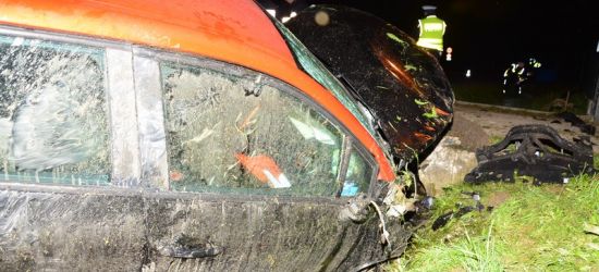 Tragiczny wypadek w Jedliczu. Kierowca uderzył w przepust (ZDJĘCIA)