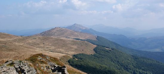 BIESZCZADY: Rzecznik lasów odpowiada noblistce