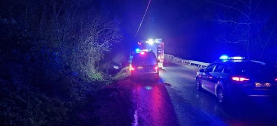 TREPCZA. Pijany 24-latek uderzył w słup i wjechał do rowu! (ZDJĘCIA)