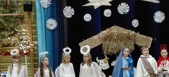 KONIEC TRANSMISJI NA ŻYWO: TSV Cellfast Sanok – Hutnik Kraków. Hit kolejki tylko w esanok.life! (ZDJĘCIA)