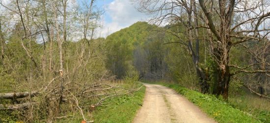 BIESZCZADY: Caryńskie – tereny nieistniejącej wsi (FOTO)