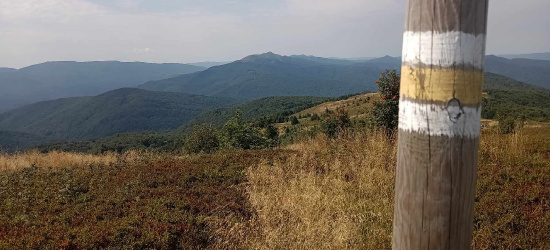 Długi sierpniowy weekend w Bieszczadach. O czym należy pamiętać?