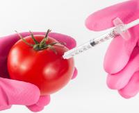 OTRZYMALIŚMY: „GMO zagraża bezpieczeństwu żywnościowemu naszego kraju”. Wyraź sprzeciw. Podpisz petycję!