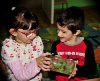 Dzieci w makro świecie. Studenci PWSZ opowiadali o owadach (ZDJĘCIA)