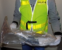 Włamanie z udziałem 14 i 15-latków. Kilofem uszkodzili ściany niezamieszkałego domu