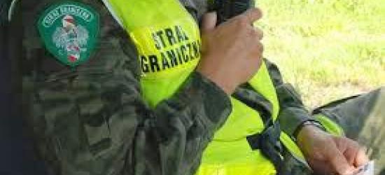 Dwaj Ukraińcy pracowali na czarno u mieszkańca Leska