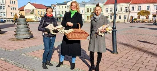 Październik miesiącem świadomości raka piersi. Inicjatywa europoseł (FOTO)