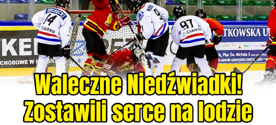 SANOK. Dwa piękne gole kapitana! Niedźwiadki zostawiły serce na lodzie (SKRÓT VIDEO)
