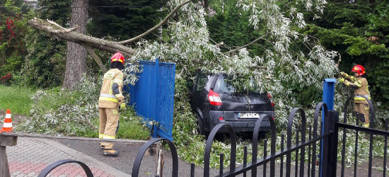SANOK: Niebezpiecznie. Konar spadł na samochód (ZDJĘCIA)