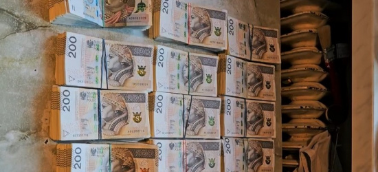 Rozbito zorganizowaną grupę przestępczą. Ośmiu podejrzanych