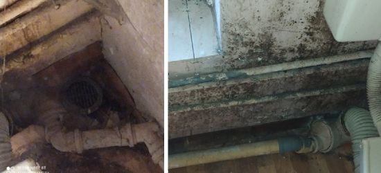 Gmina przyznała samotnej matce dwójki dzieci mieszkanie uwłaczające ludzkiej godności (ZDJĘCIA)