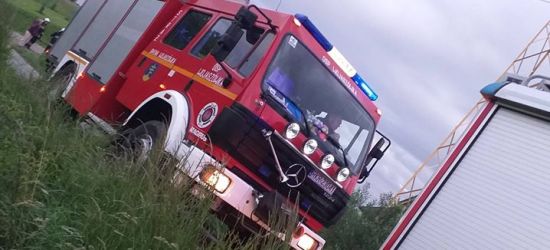 PODKARPACIE. Tragedia w lesie. Nie żyje mężczyzna porażony prądem (ZDJĘCIA)