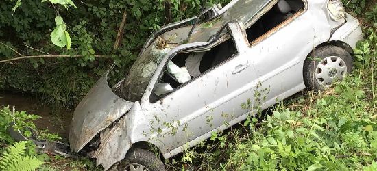 ZAGÓRZ. Samochód ściął drzewa, dachował i stoczył się ze skarpy (VIDEO, ZDJĘCIA)