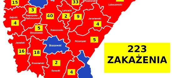 Koronawirus na Podkarpaciu. AKTUALNA MAPA
