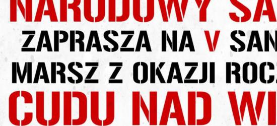Pies spowodował kolizję drogową